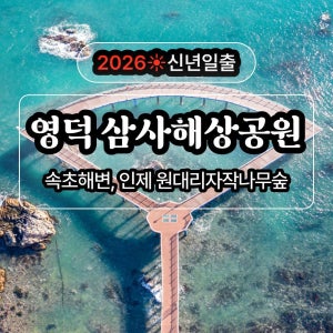 테마캠프 [신년일출] 영덕 삼사해상공원, 강구항 대게거리, 청송 얼음폭포 무박여행