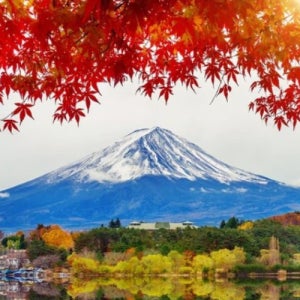 필수현지투어 주말여행가능 여름한정가 도쿄패키지 3박4일 근교소도시 단독특가