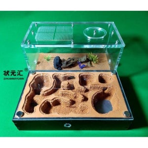 개미 키우기 둥지 하우스 키트 사육장 관찰 여왕개미 곤충 집 과학 생태 개미집 학습 여왕