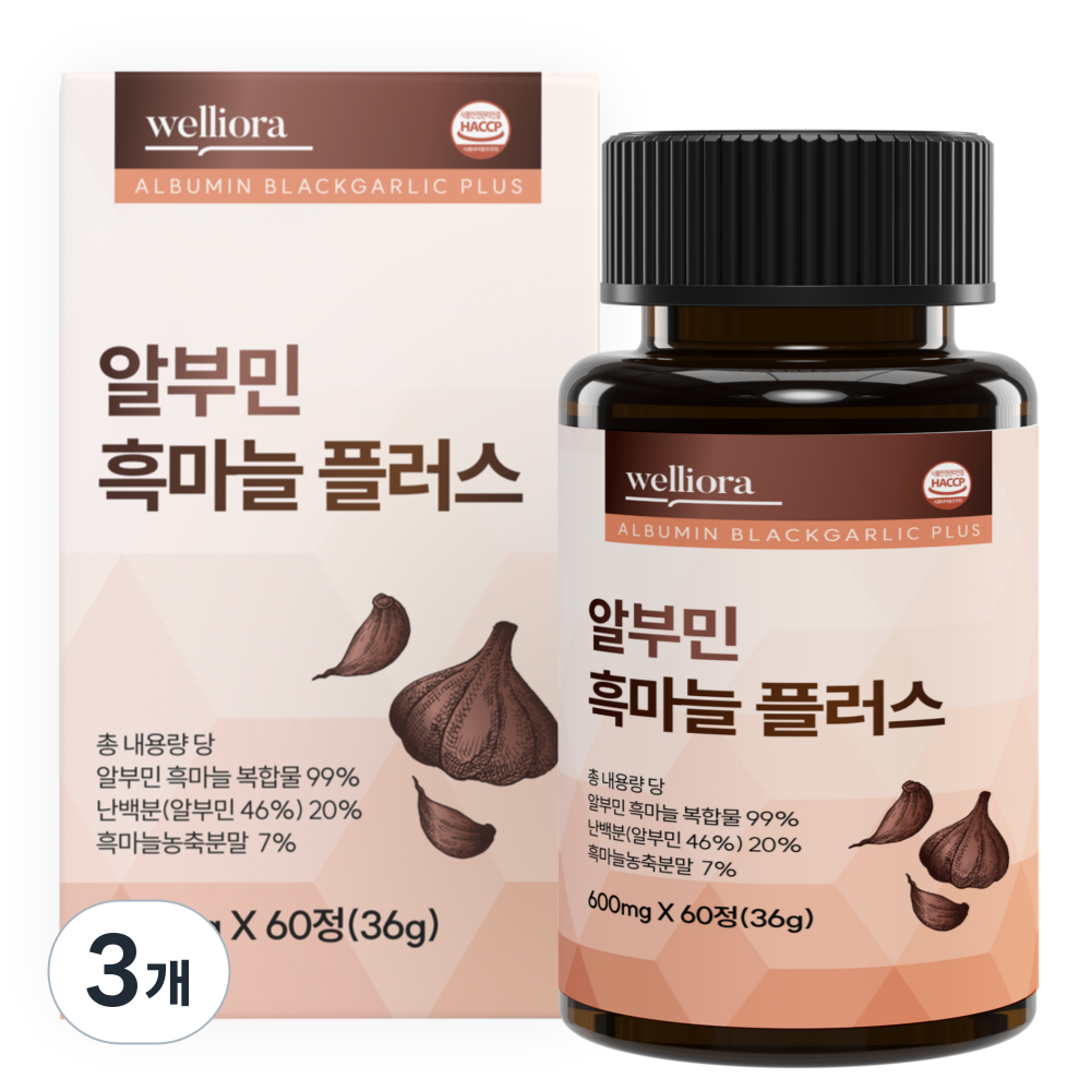 엠에스엠 웰리 플러스