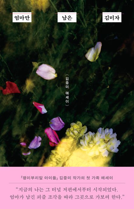 엄마만남은김미자