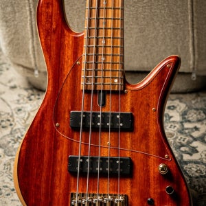 Fodera Emperor 5 Standard Special LTD-Bloodwood Top w/Pau Ferro Fingerboard & Trans Pickguard (2025년