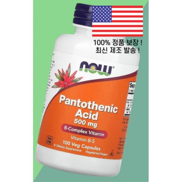 나우푸드 판토텐산 500mg 베지 캡슐 100캡슐, 1개