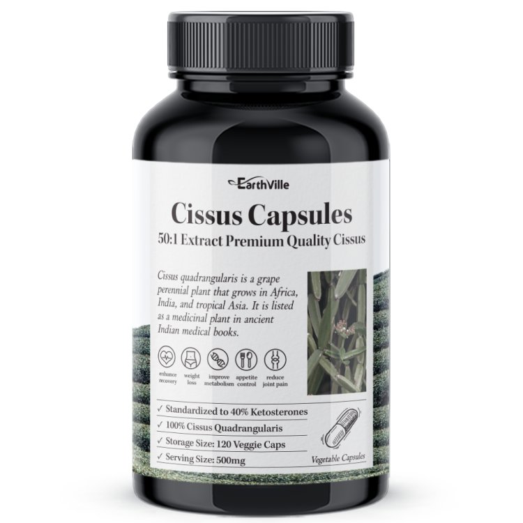 어스빌 <b>시서스</b>알약 50배농축 <b>추출물</b> 120캡슐, 3개