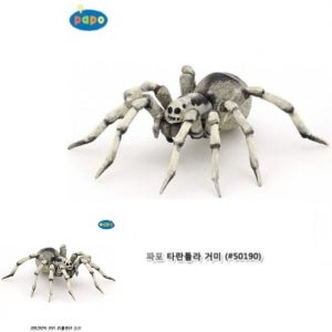 모형완구 파포 타란튤라 거미 유아용품 갈라파고스 울부짖는늑대
