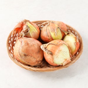 [수토마켓] 햇양파 만생양파 국내산 못난이양파