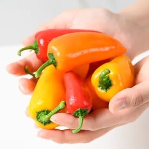 아삭하고 상큼한 미니 파프리카 1kg