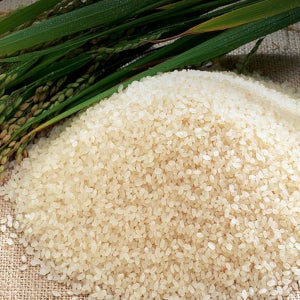 [문경초록마을][듀타온) 2025년 햅쌀 문경 대표 백진주 4kg