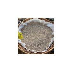 [회룡포정보화마을] 2025년 예천 국산 햇 참깨 1kg