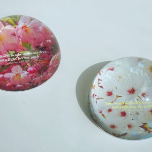 봄꽃 문진 페이퍼웨이트, 선데이모닝그레이스