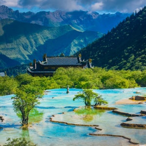 구채구 황룡풍경구 와룡판다기지 판다체험 시내관광 금리거리