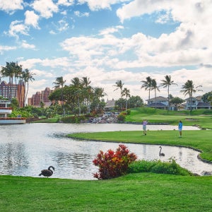 하와이 하와이호텔 6일 하와이허니문 하와이여행 럭셔리