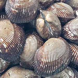 깊은 바다 향과 쫄깃한 식감의 여자만 피꼬막 2kg