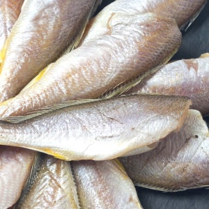 통통한 살과 담백한 맛이 살아있는 두절 참조기 500g(15마리 내외)
