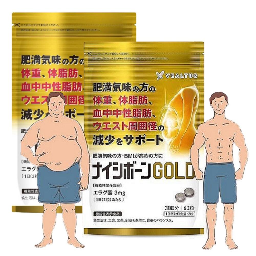 나이시본 골드 60정 2팩세트 <b>방풍통성산</b> 뱃살빼기 서프리먼트 60일분