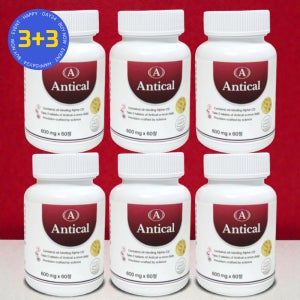 안티칼 알파 CD 알파씨디 파세올라민 60정 6개