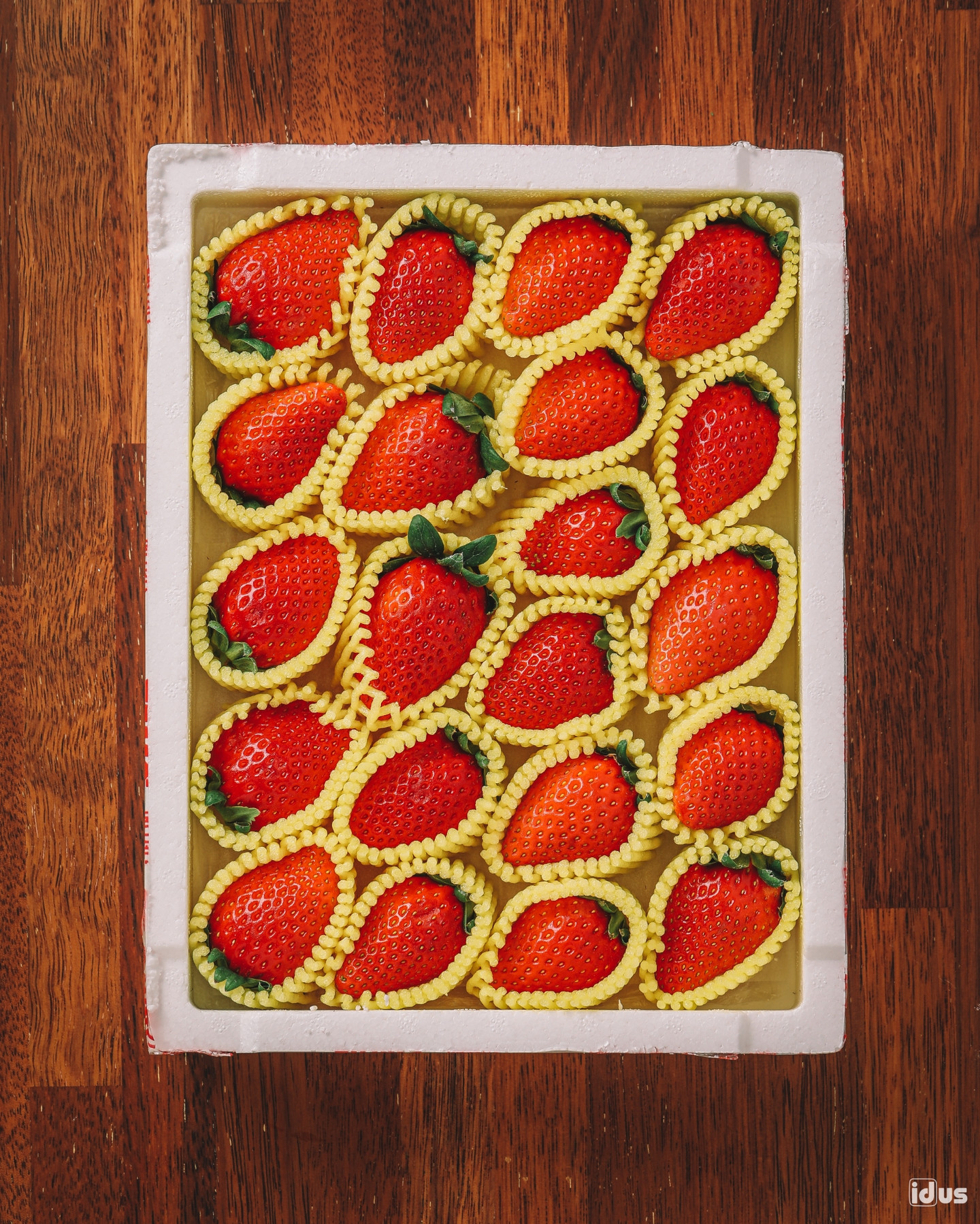 🍓 땅에서자란딸기 설향 금실 비타 순차발송해요, <b>클로렐라</b> 딸기농장