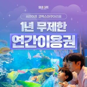 광고 메인 이미지