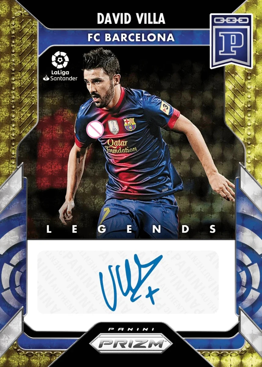 PANINI 9PCS 축구 스타 카드 수제 DIEGO MARADONA NEYMAR JR FABIO CANNAVARO RAUL 서명 Collectible Cards  02 7