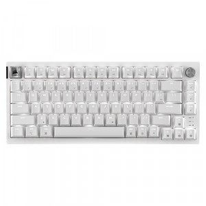 CORSAIR K65 RGB PLUS 유무선 애플 에디션