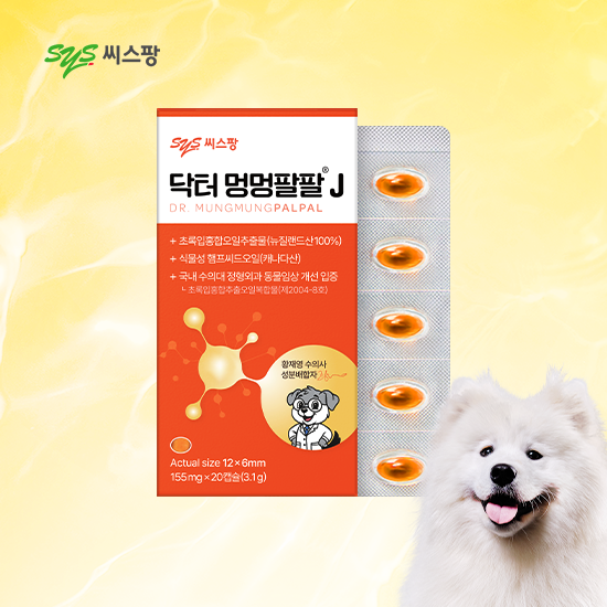 닥터 에스오디
