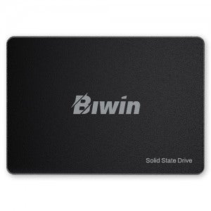 BIWIN M100 (256GB)