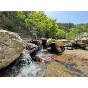 [양양군] 양양 달팽이펜션