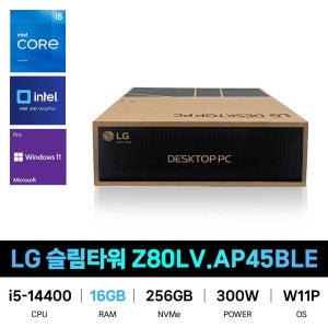 LG전자 IT_LG전자 슬림타워 데스크탑 Z80LV.AP45BLE RAM 16GB 재고보유