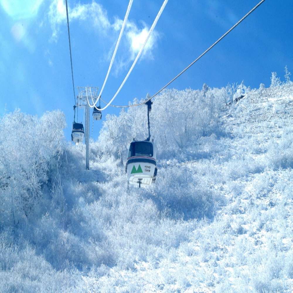 성심당 (Sungsimdang)