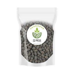 국산 연자육 연꽃씨 연씨 1kg