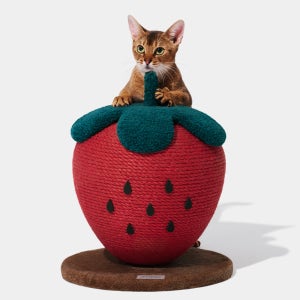 [사전 예약]🍓원형 딸기 스크래쳐 *1월 19일 순차출고