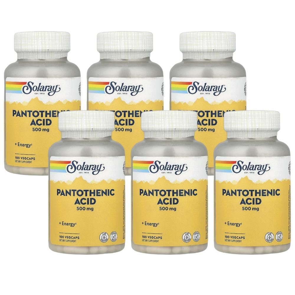 솔라레이 <b>판토텐산</b> 500mg 베지 캡슐 100정 6병