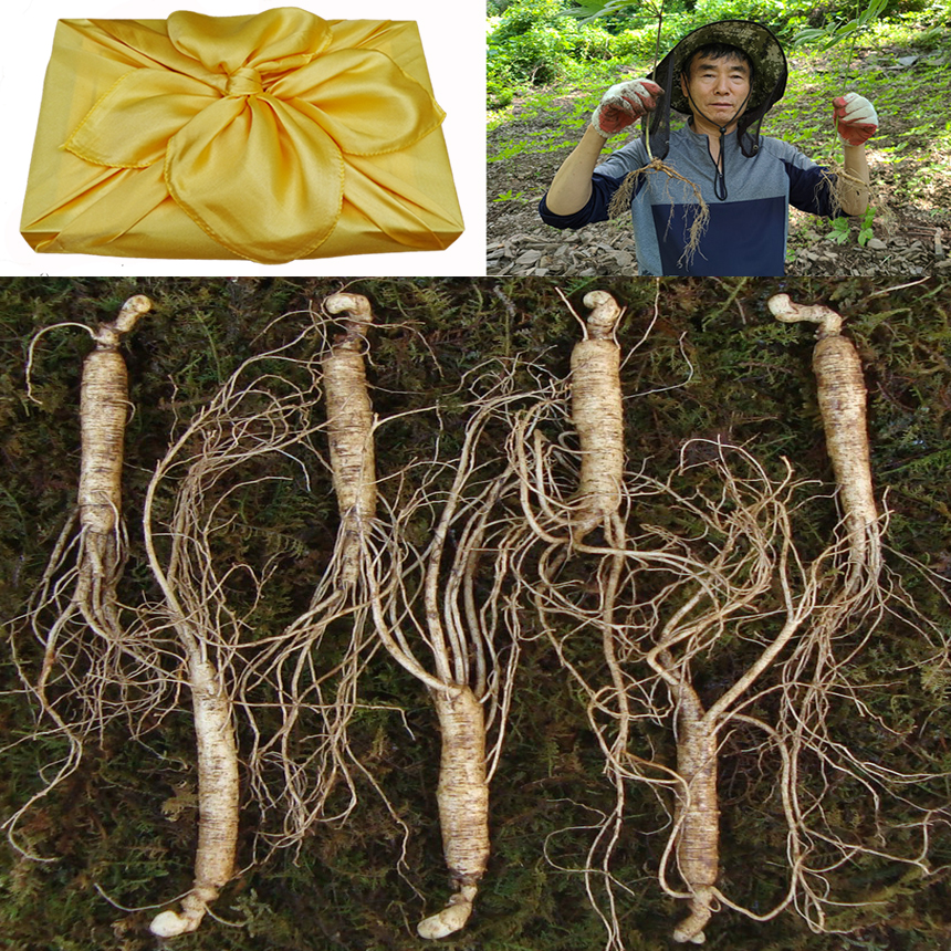 천봉산삼 6년근 7뿌리 산양삼 산양산삼 장뇌삼 자연산 선물세트