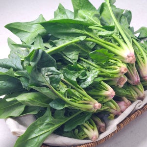 부드럽고 은은한 단맛을 가진 남해 보물초 시금치 1kg