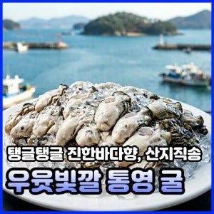 통영 깐생굴