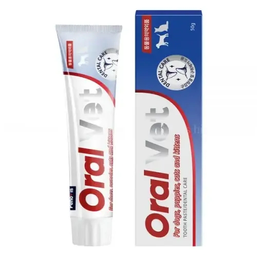 강아지 치석 제거 용품