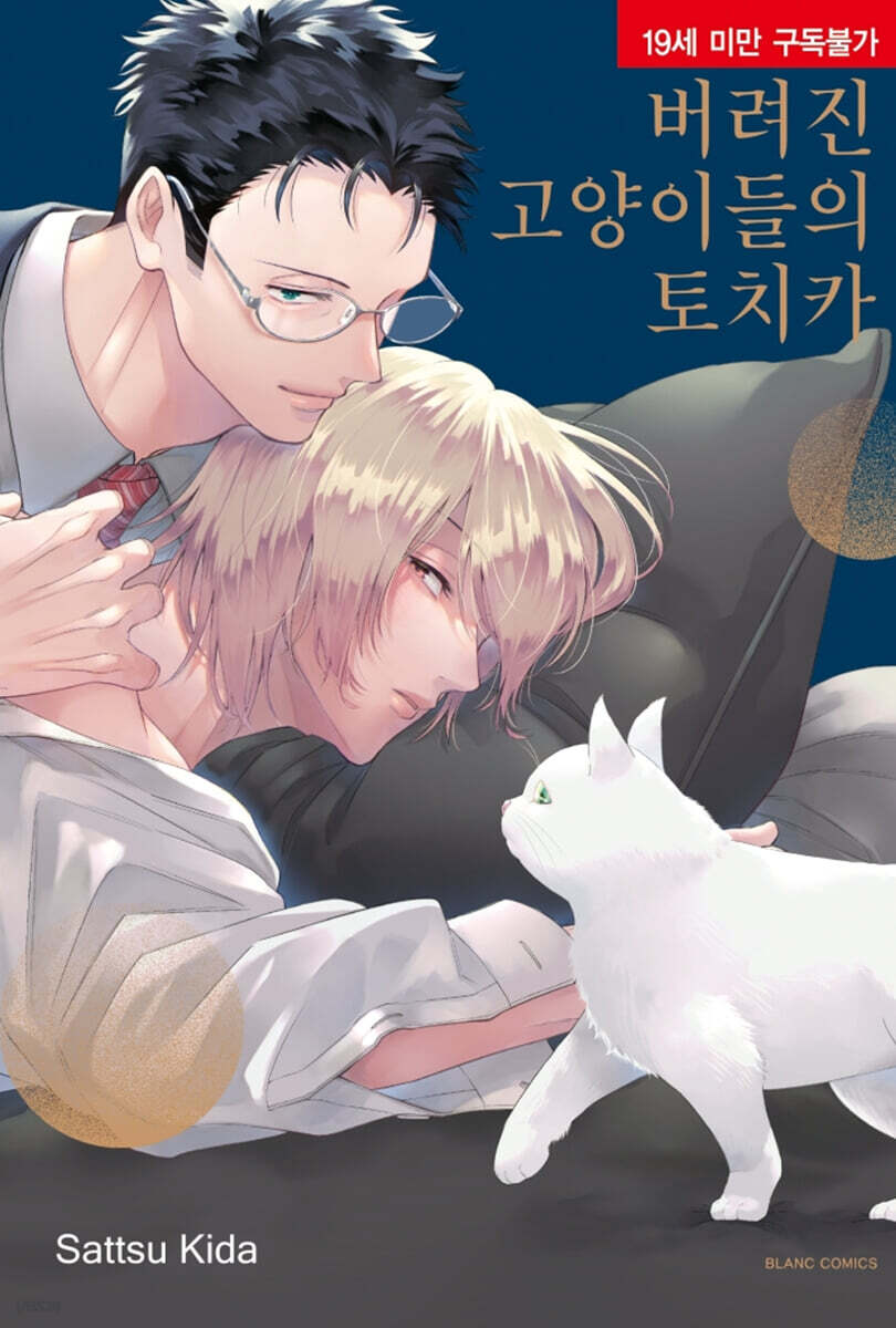 버려진 고양이들의 토치카