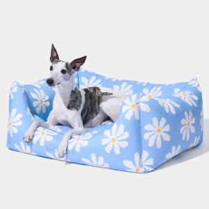 [사전 예약]🌼데이지 펫 소파 (M size) *1월 19일 순차출고