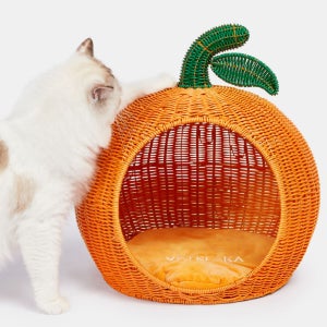 [사전 예약] 🍊귤 라탄 숨숨집  *1월 19일 순차출고