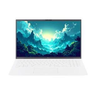 LG전자 그램 15ZD90RU-GX54K 16GB 512GB Win11