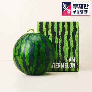 [농할 25%쿠폰] 천천히 익어 더욱 아삭한, 국내산 고당도 수박 8kg / 9kg