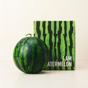 [새벽에On] 100일간의 달콤한 기다림, 겨울 함안 수박 6kg