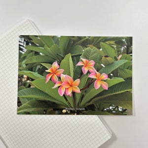 미니포스터 여행 엽서 [지난 여름, 치앙마이], 노션아일랜드