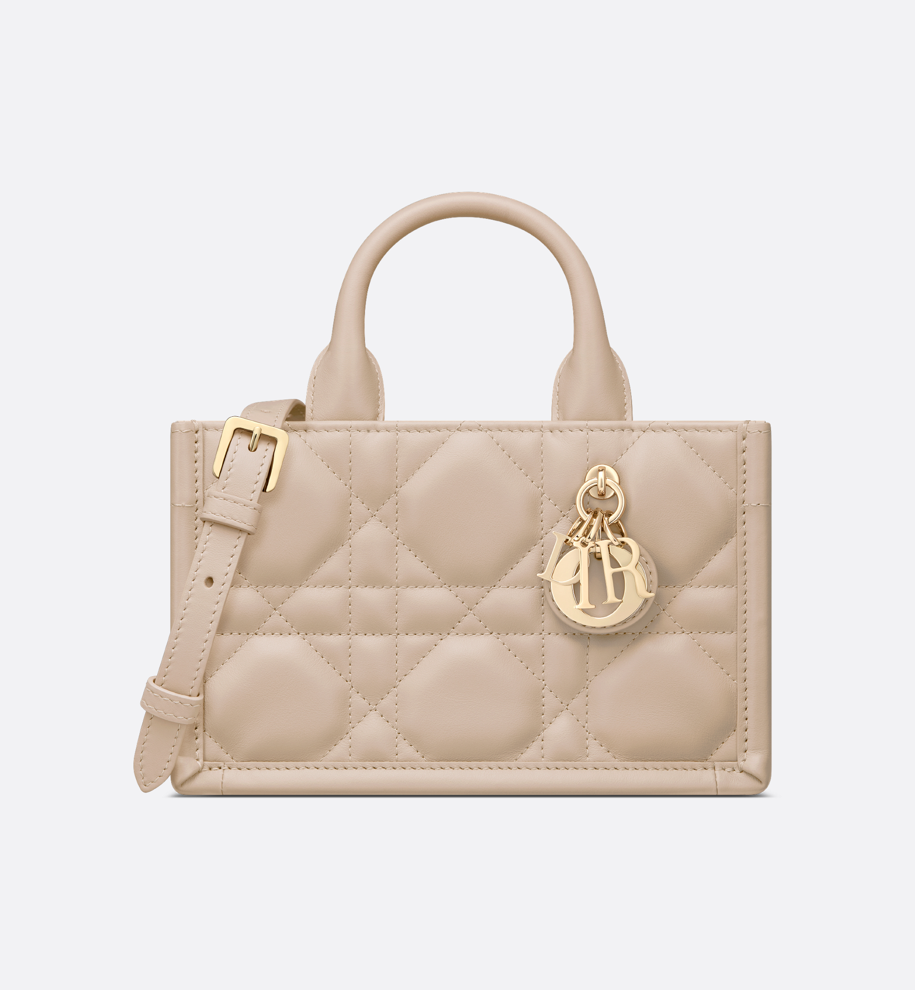 DIOR 북 토트 미니 백 S5573OWHP