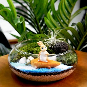 토끼 비단이끼 테라리움 만들기 diy 키트 내방꾸미기, 에스아르뗌