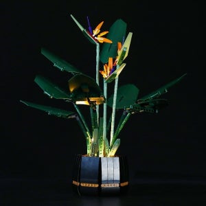 10289 극락조화 Lightailing LED KIT,(블럭 미포함)