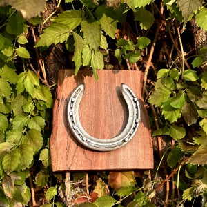 경주마 실사용 말편자 행운 인테리어소품 개업 집들이선물, 오월공방