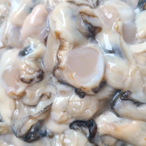 탱글한 식감과 바다향이 가득한 햇생굴(중대굴) 900g 3팩