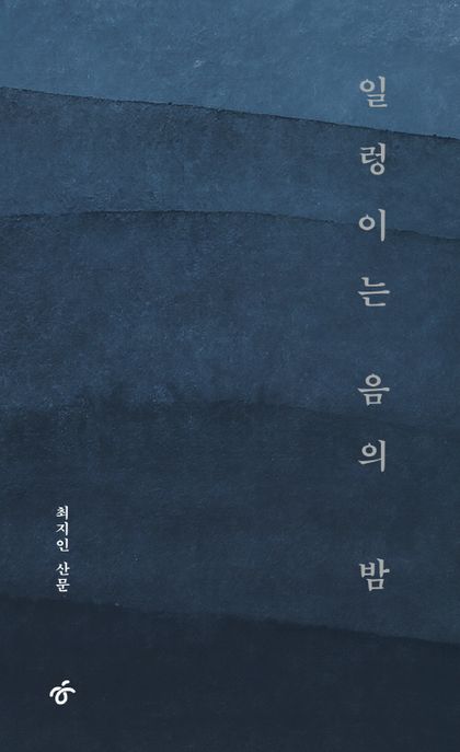 일렁이는 음의 밤 (최지인 산문) 표지