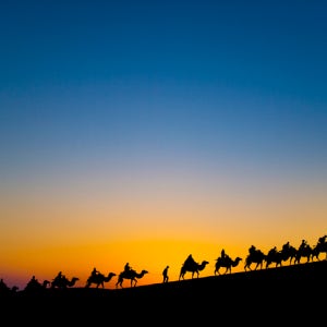 대한항공 비즈니스 중국 실크로드 8박9일